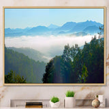 Morning in Blue Ridge Parkway