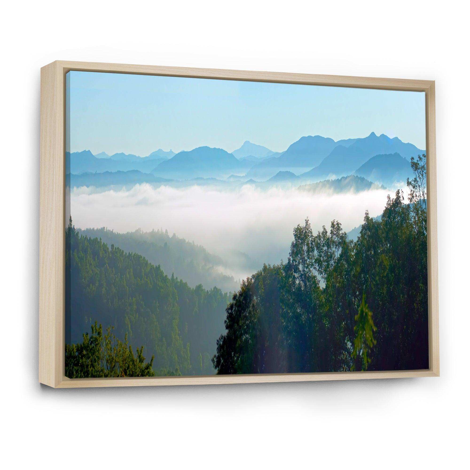 Morning in Blue Ridge Parkway