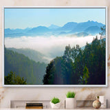 Morning in Blue Ridge Parkway