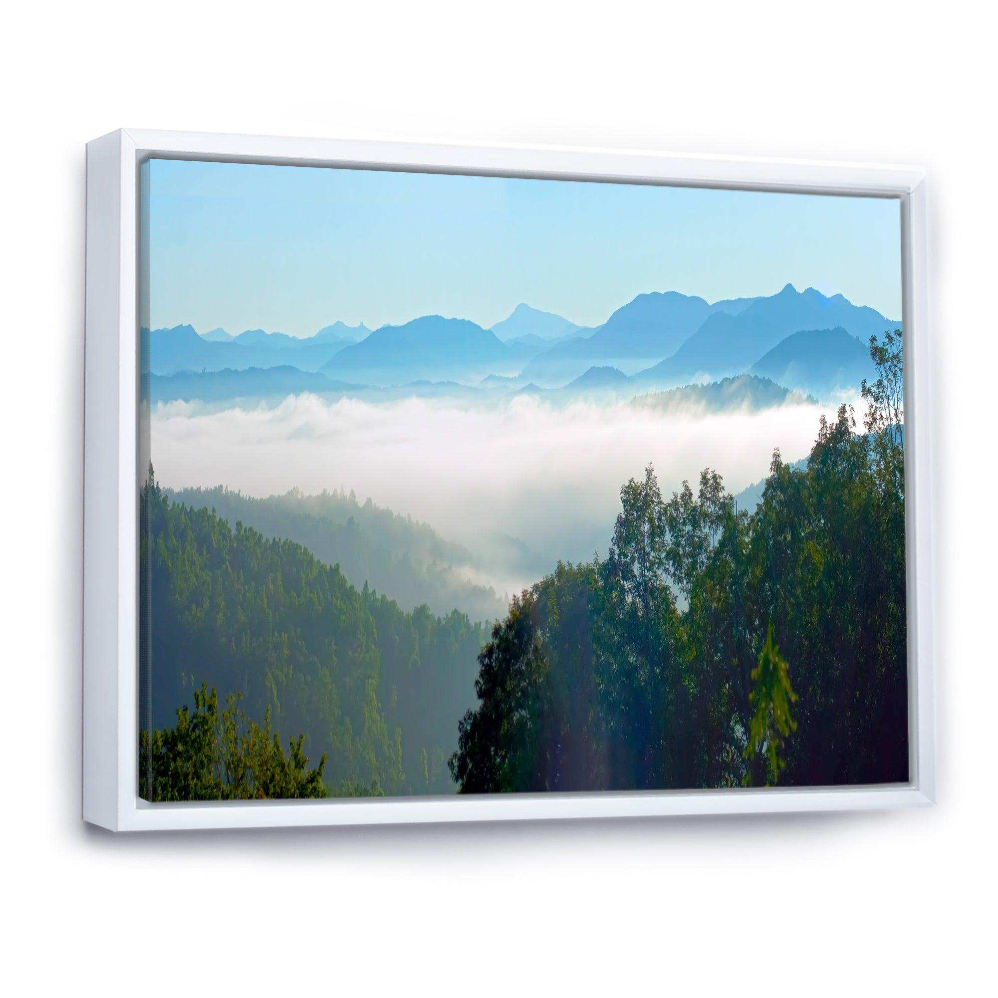 Morning in Blue Ridge Parkway