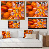 Massive Orange Fractal Flower