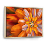 Massive Orange Fractal Flower