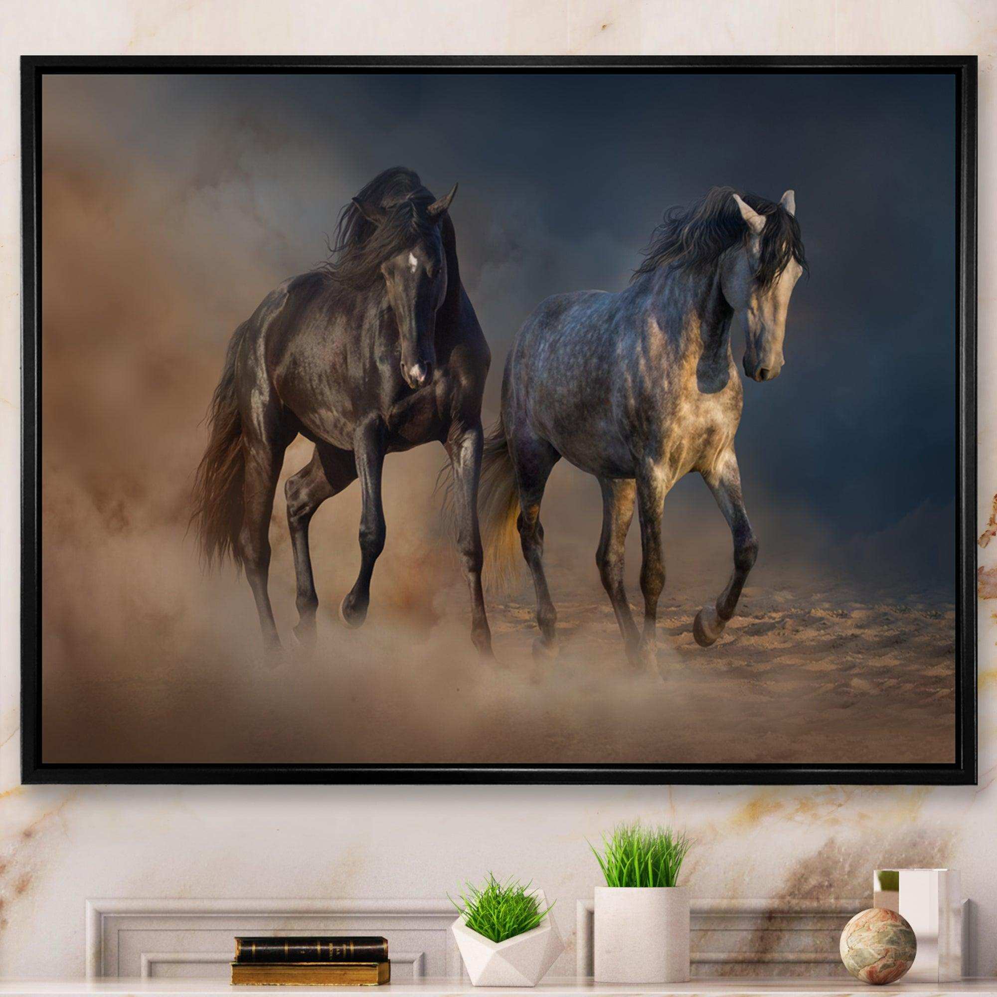 Black and white horse run