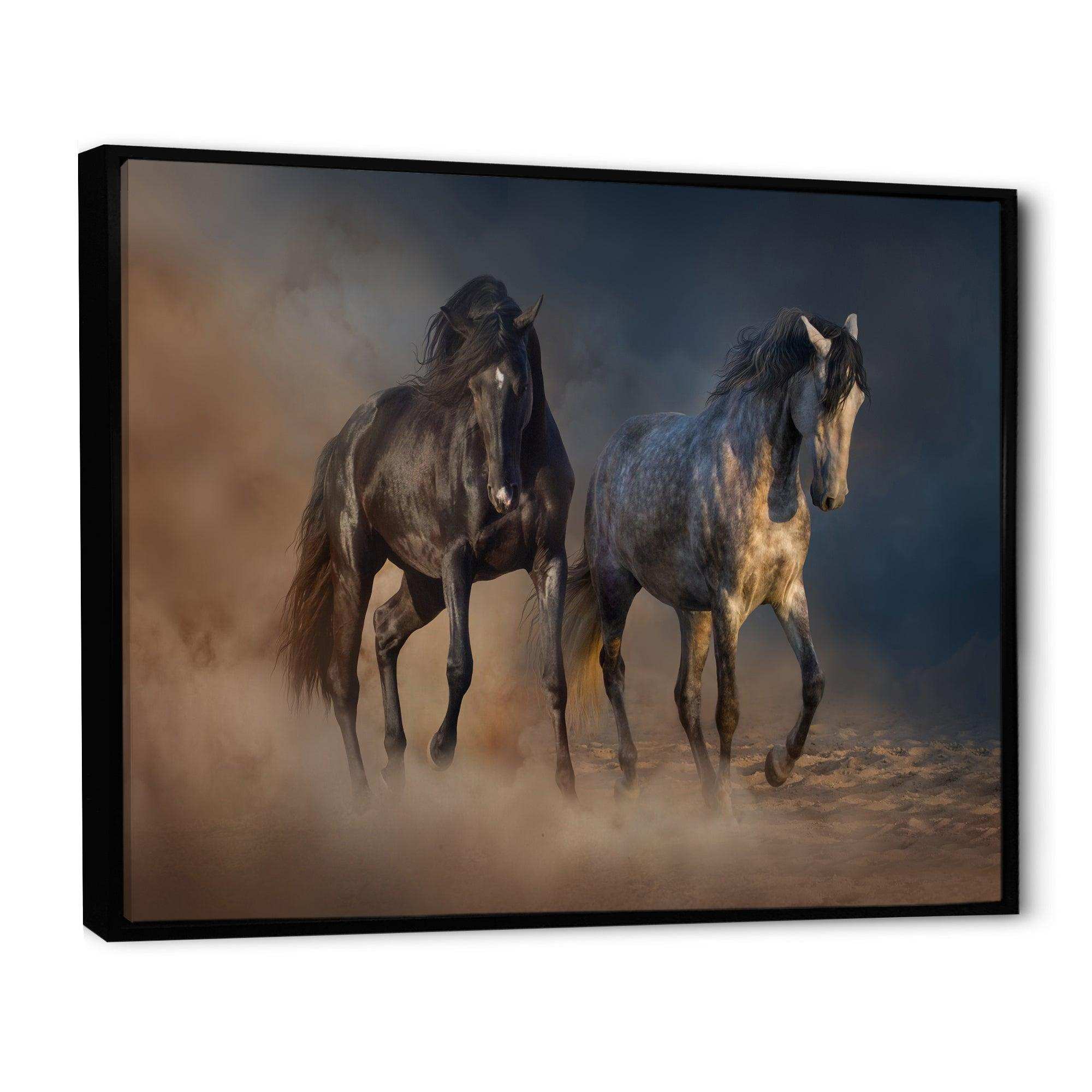 Black and white horse run