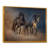 Black and white horse run