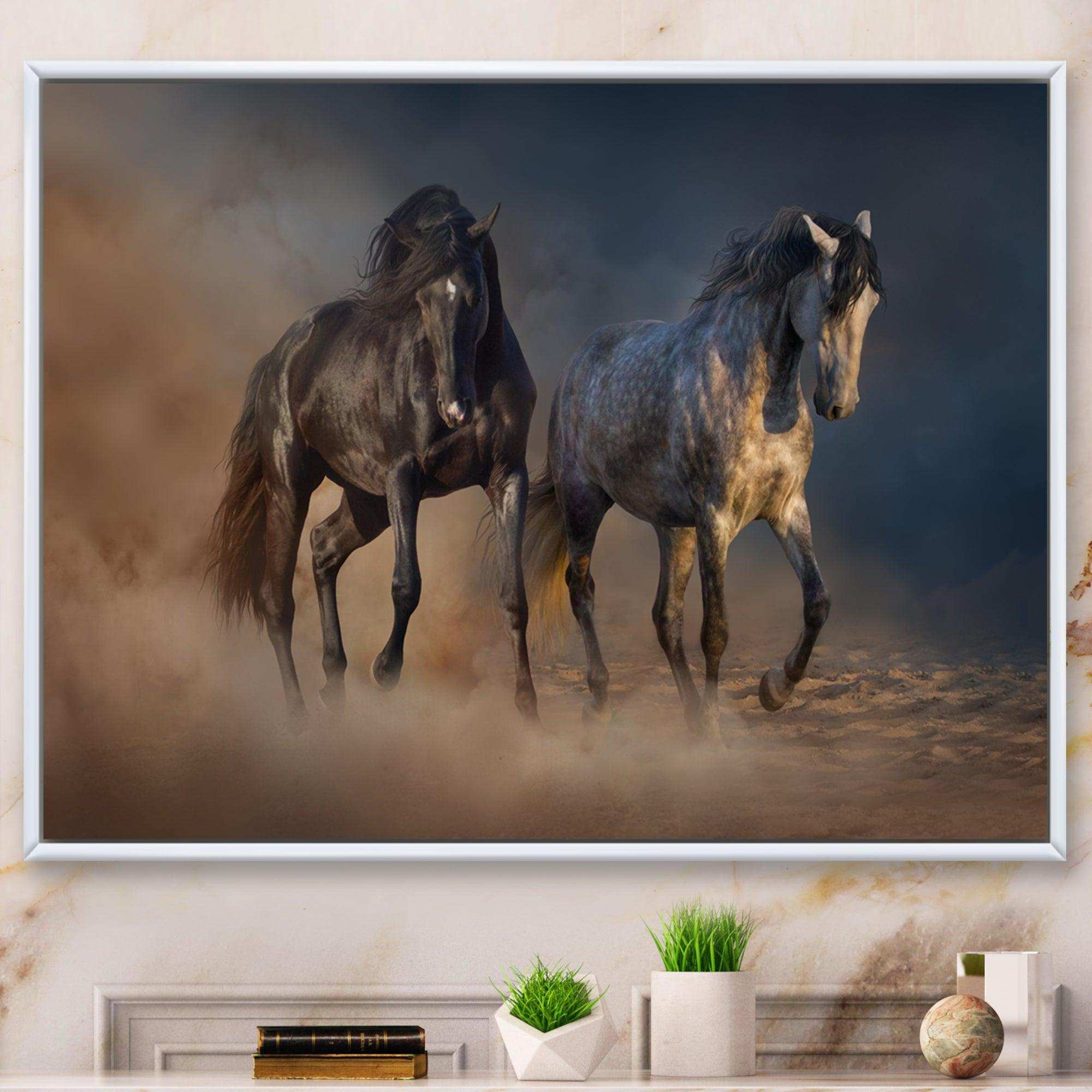 Black and white horse run