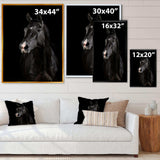 Black horse in darkness