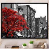 Red Tree on Black and White New York City Street