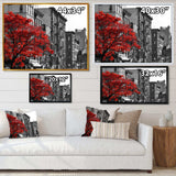 Red Tree on Black and White New York City Street