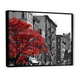 Red Tree on Black and White New York City Street