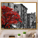 Red Tree on Black and White New York City Street