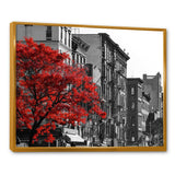 Red Tree on Black and White New York City Street