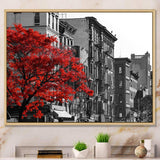 Red Tree on Black and White New York City Street