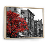 Red Tree on Black and White New York City Street