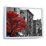 Red Tree on Black and White New York City Street