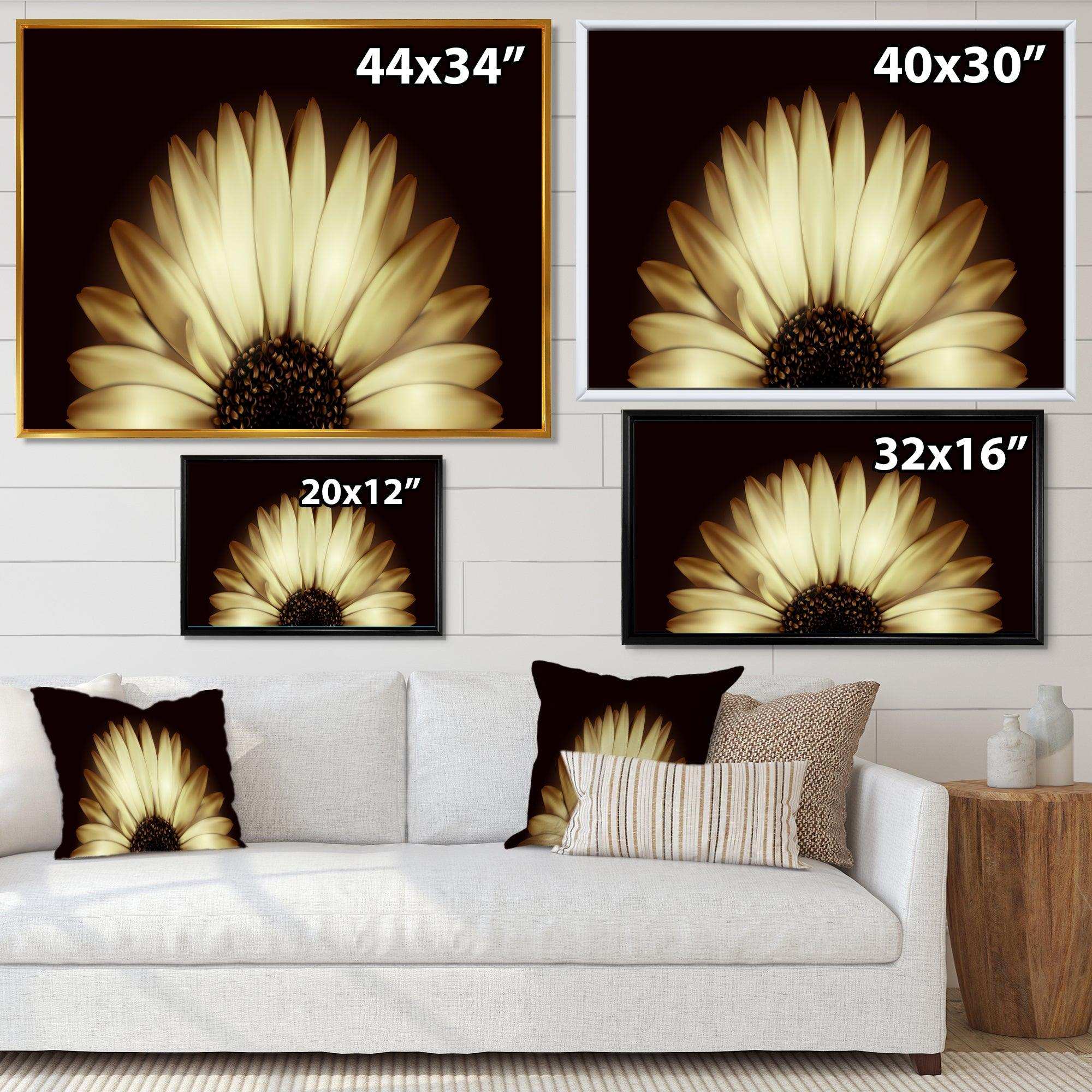 Sunflower in Black background