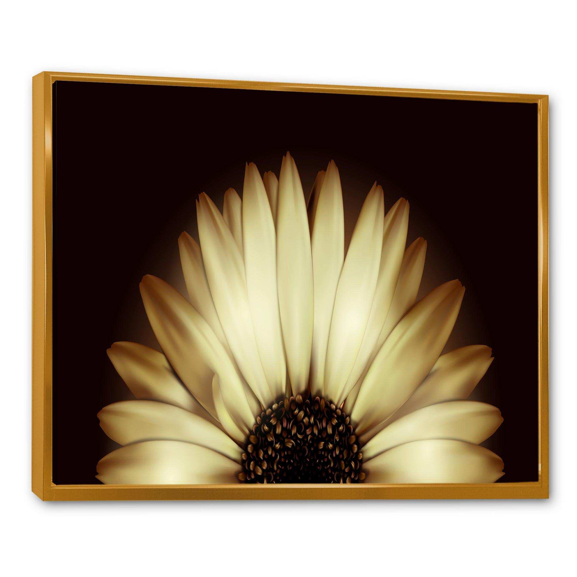 Sunflower in Black background