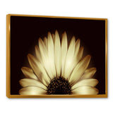 Sunflower in Black background