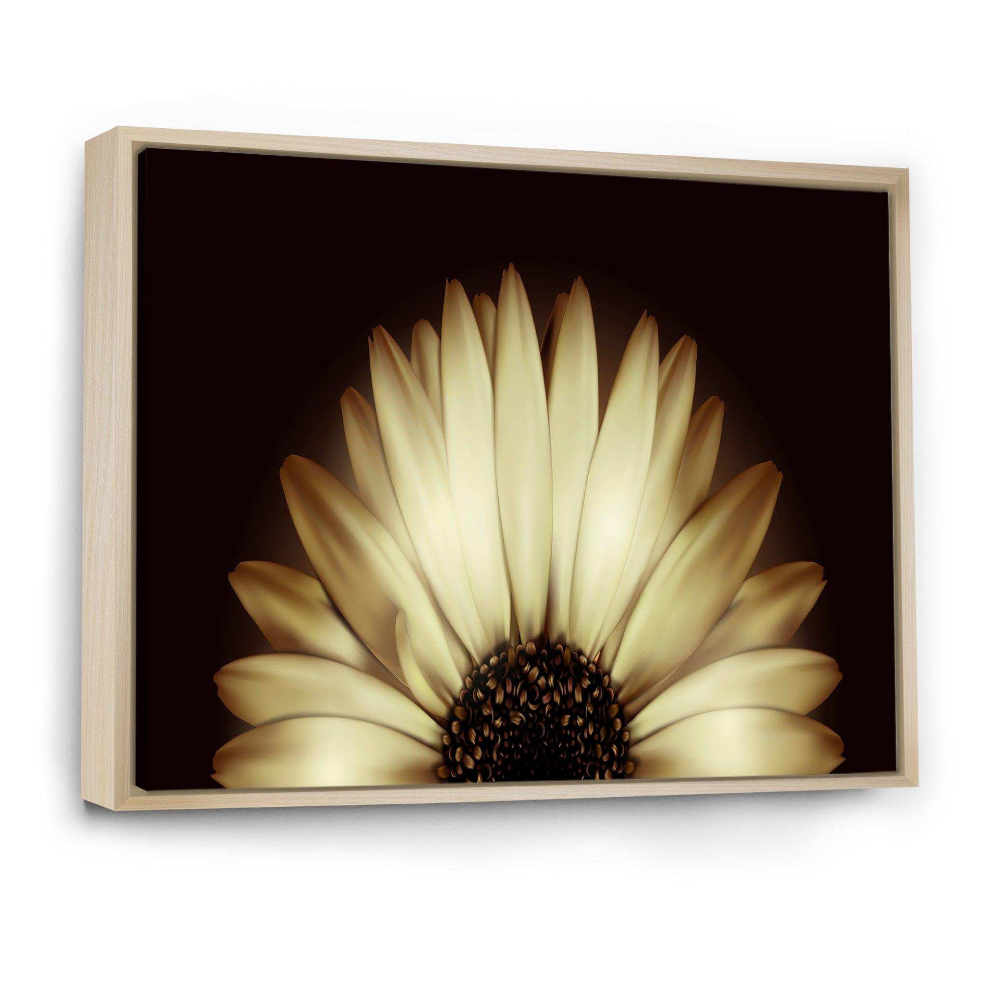 Sunflower in Black background