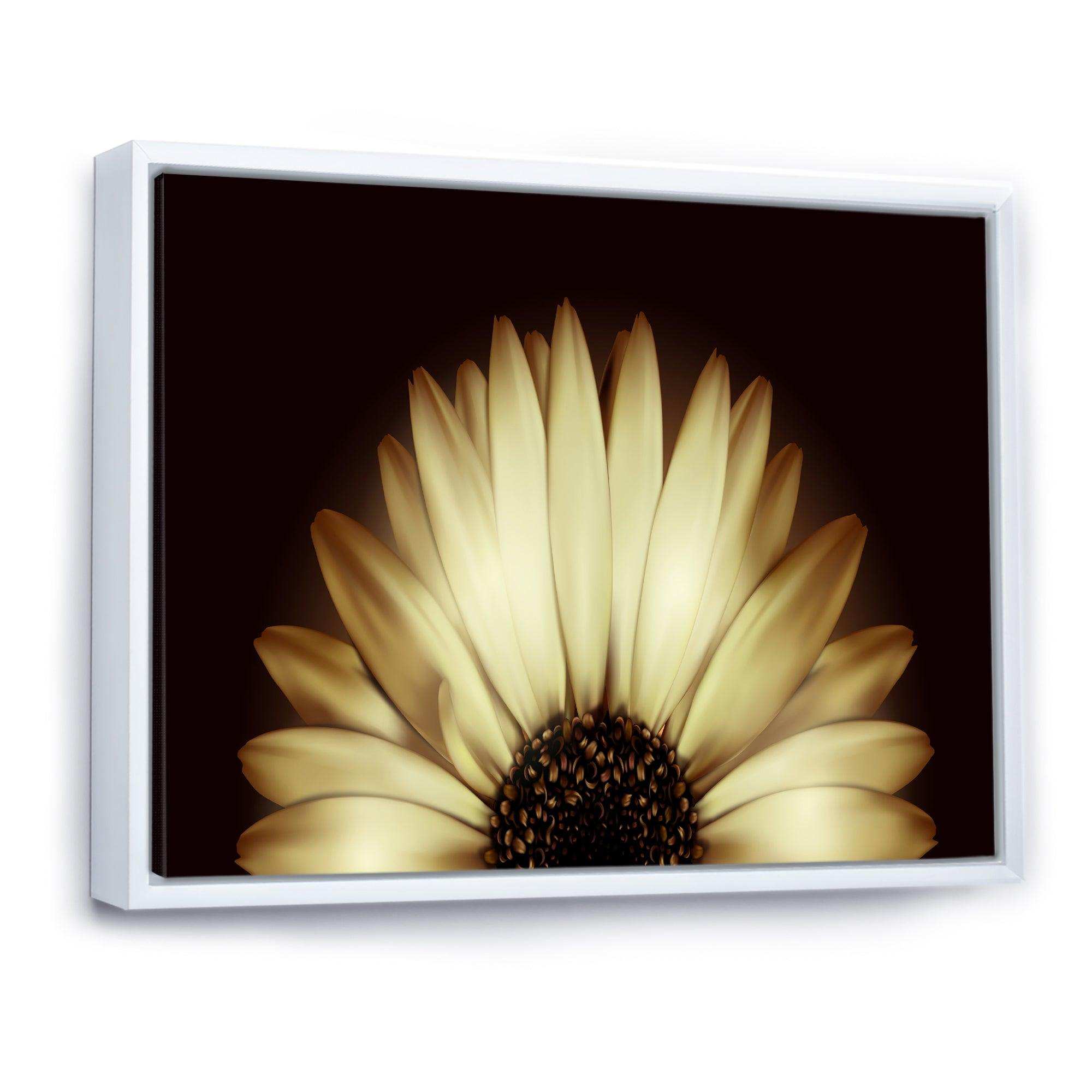 Sunflower in Black background