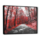 Patch in Red Forest