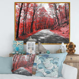 Patch in Red Forest