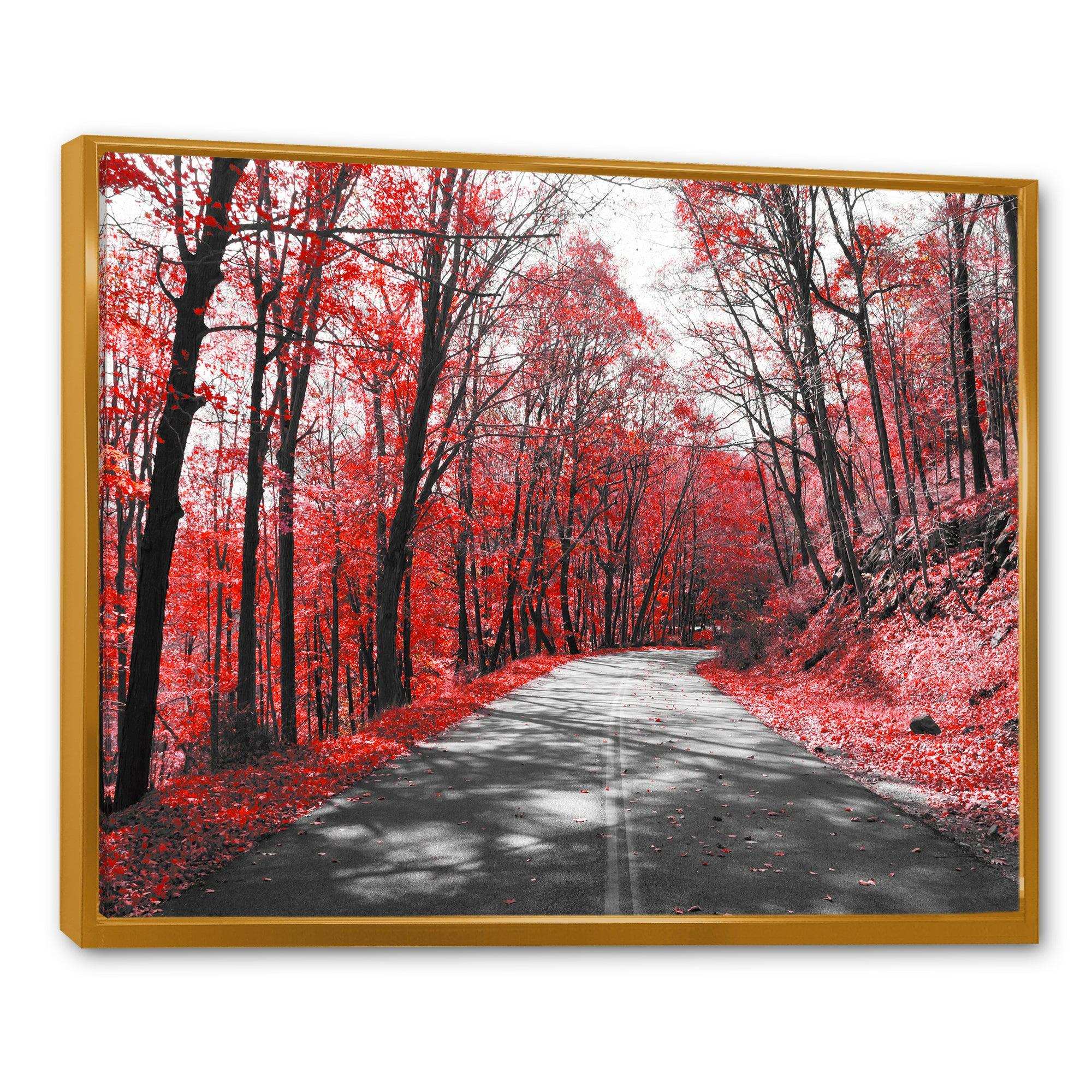 Patch in Red Forest
