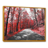 Patch in Red Forest