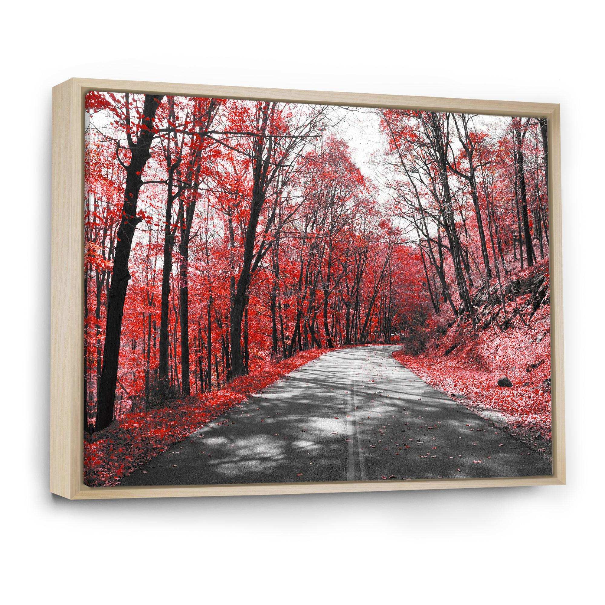 Patch in Red Forest