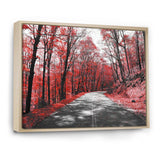 Patch in Red Forest