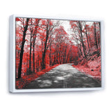 Patch in Red Forest