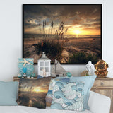 Grassy and beach sunset
