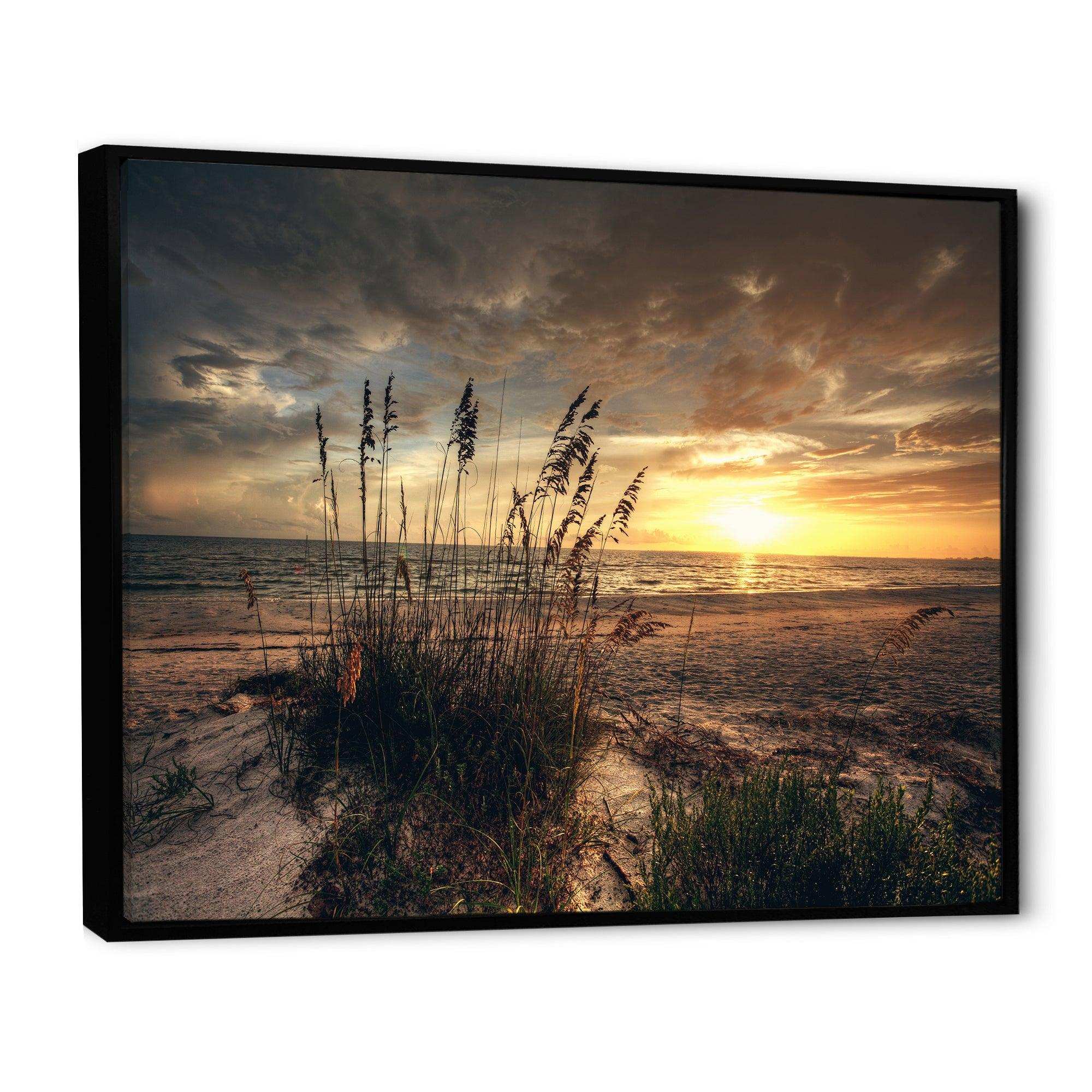 Grassy and beach sunset