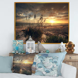 Grassy and beach sunset