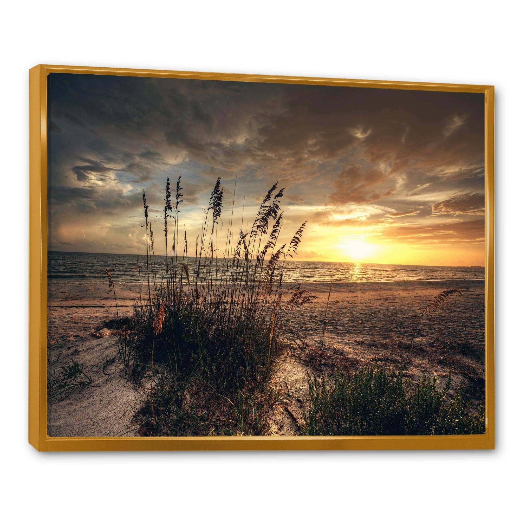 Grassy and beach sunset