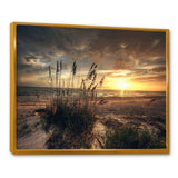 Grassy and beach sunset