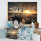 Grassy and beach sunset