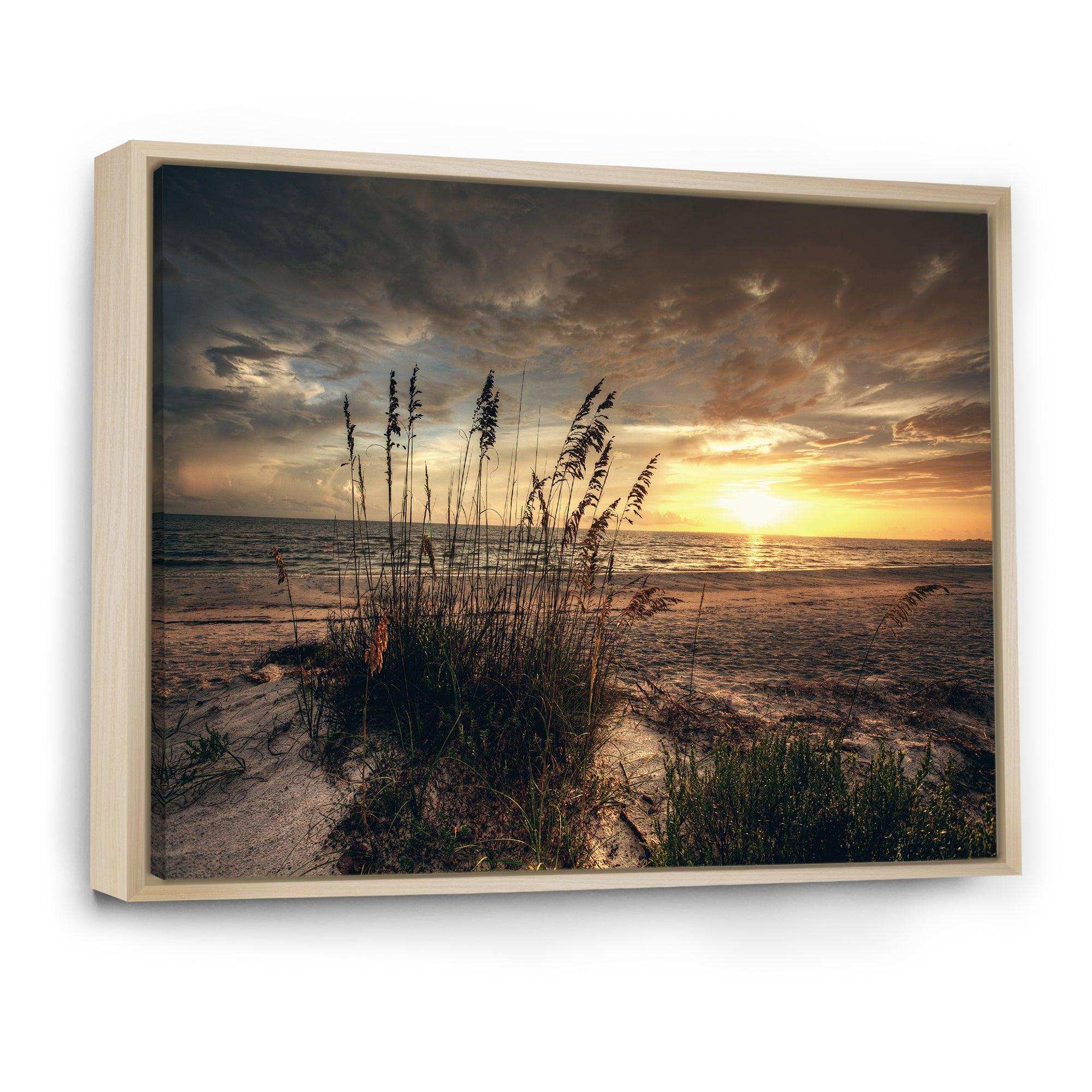 Grassy and beach sunset