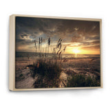Grassy and beach sunset