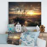 Grassy and beach sunset