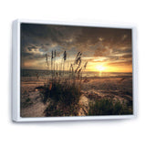 Grassy and beach sunset
