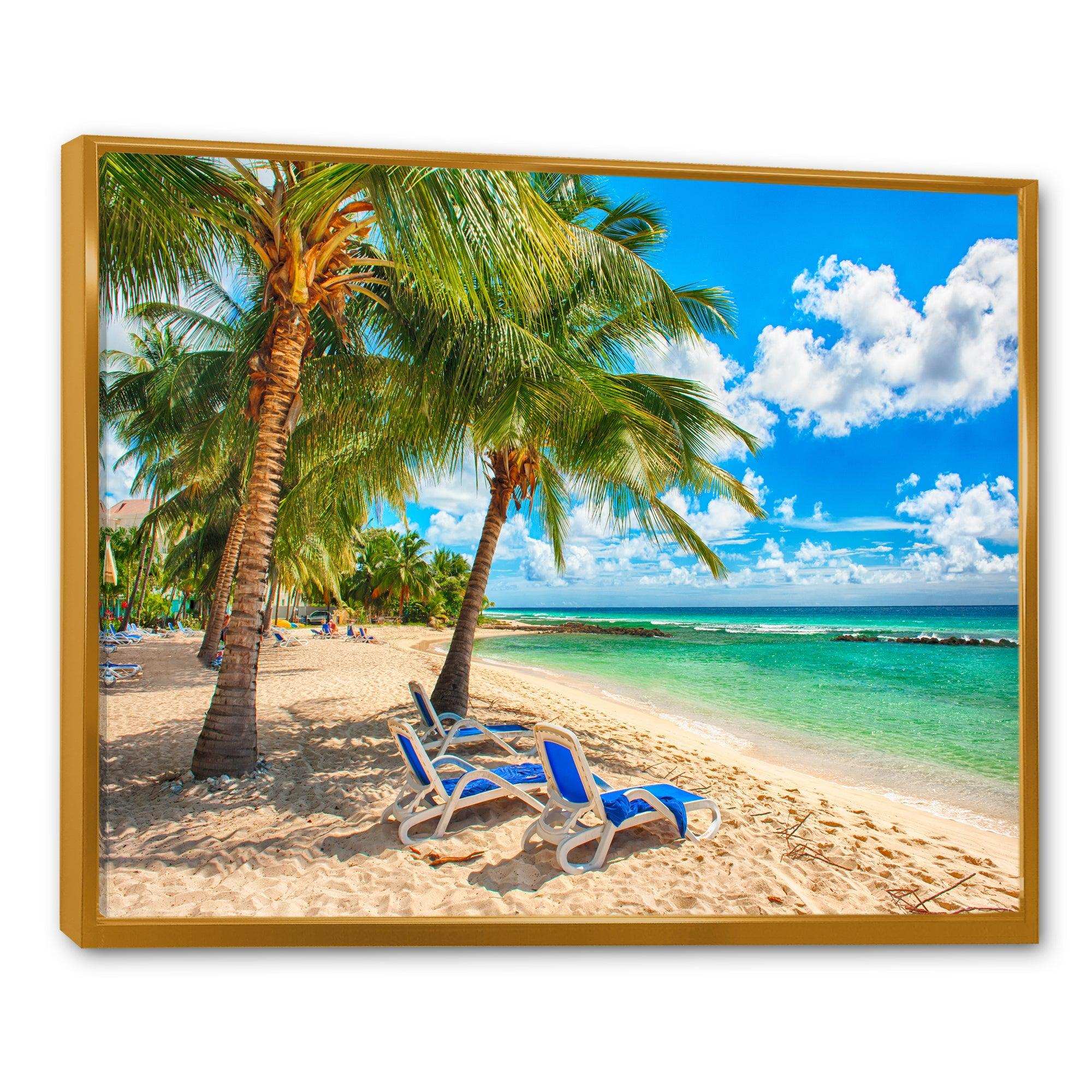 Blue chairs at the tropical white sand beach