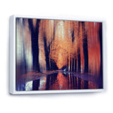 Autumn Colored Forest Treescape II