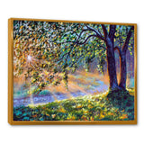 Tree By River First Rays Of Afternoon Sun