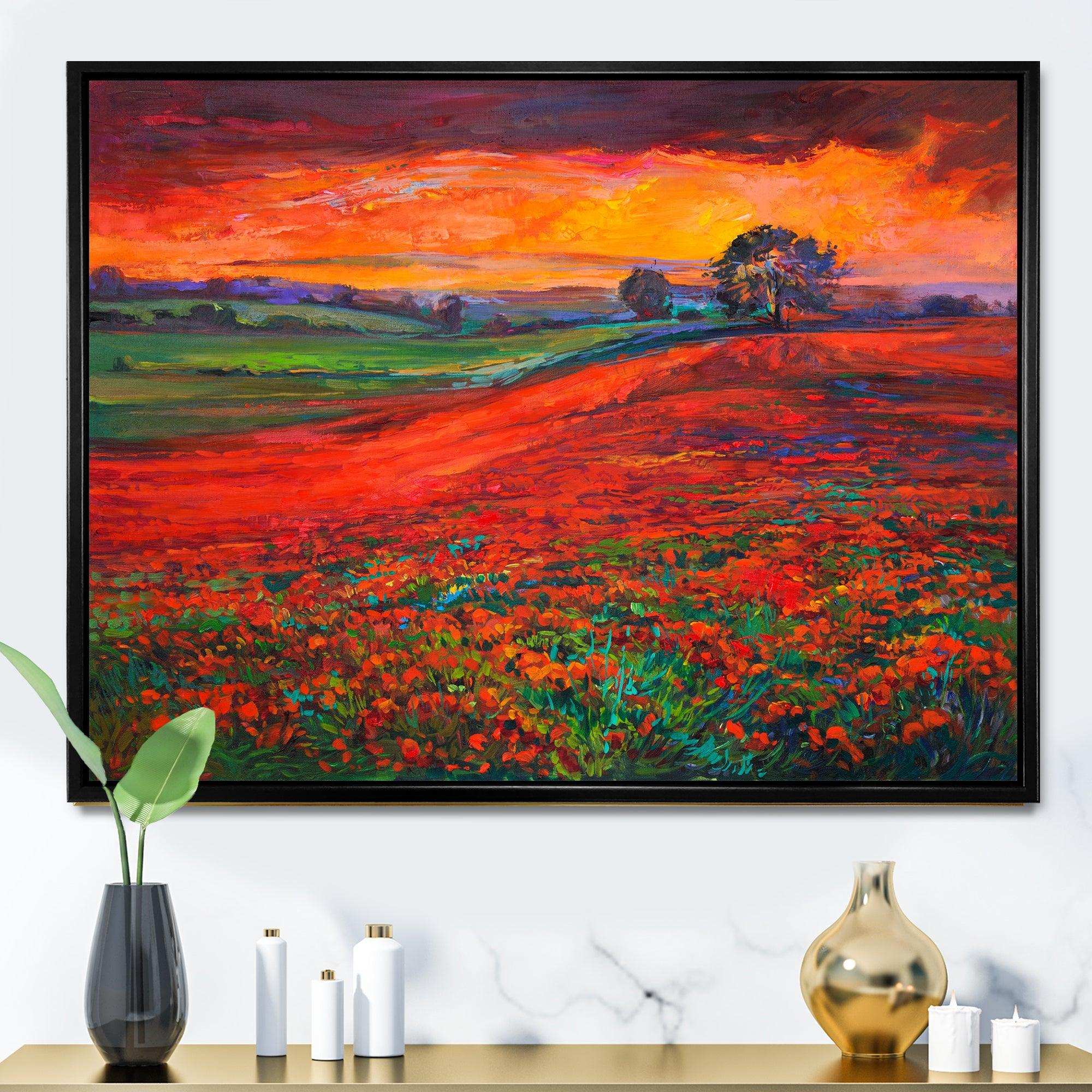 Blossoming Poppy Fields During Summer Sunset
