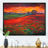 Blossoming Poppy Fields During Summer Sunset