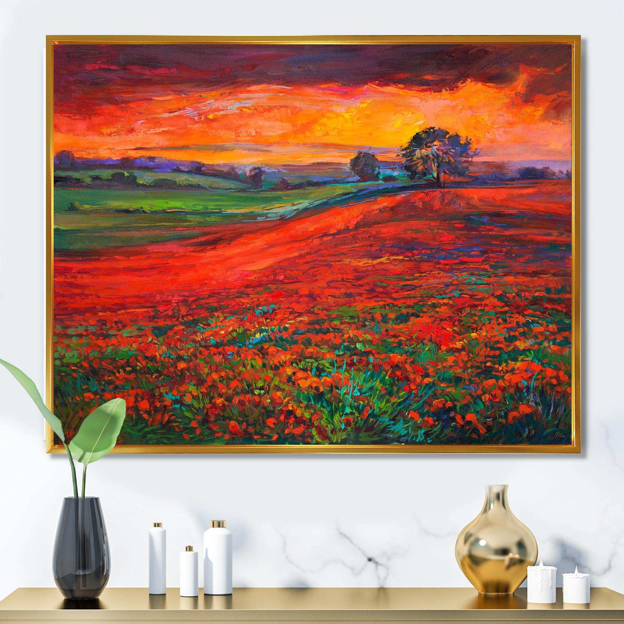 Blossoming Poppy Fields During Summer Sunset