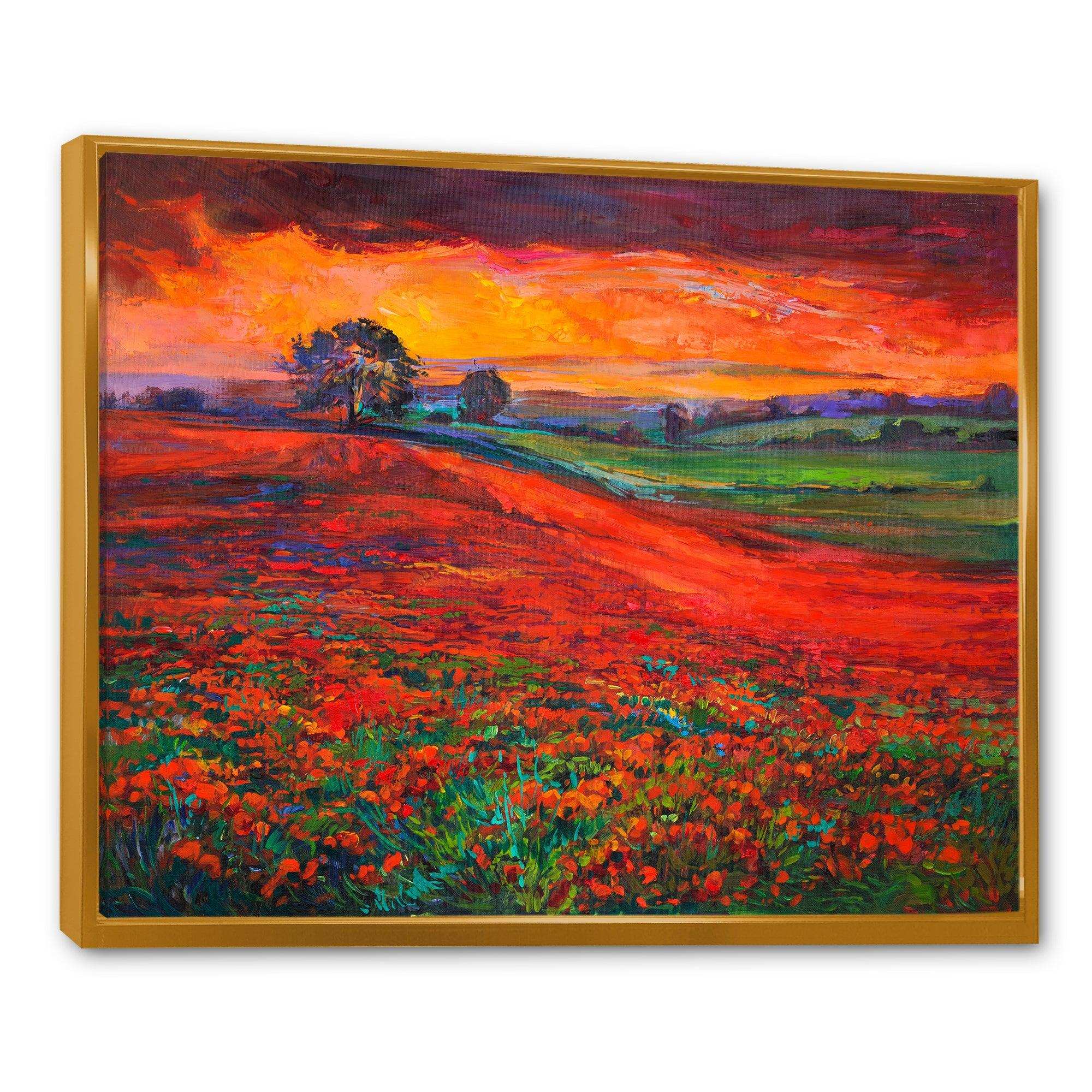 Blossoming Poppy Fields During Summer Sunset