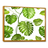 Tropical Palm Leaves II