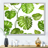 Tropical Palm Leaves II